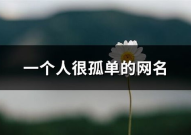寂寞的网名,寂寞的网名背后的故事