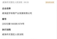 文登信息港官网郭斌再次限制高消费成为“老赖”？王楠曾炫豪车网曝各城市房产