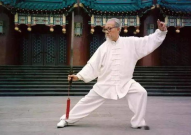 耍太极英文版,融合武术与音乐的独特艺术