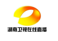 直播湖南卫视台,湖南卫视的娱乐盛宴与时代变迁